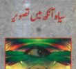 Siyah Aankh Main Tasveer By Mustansar Hussain Tarar