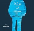 Borha Aur Samandar Ernest Hemingway