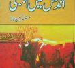 Undlas Main Ajnabi Mustansar Hussain Tarar