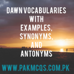 DAWN VOCABULARIES WITH EXAMPLE, SYNONYMS, and ANTONYMS