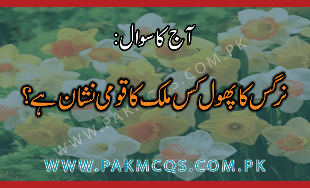 نرگس کا پھول کس ملک کا قومی نشان ہے